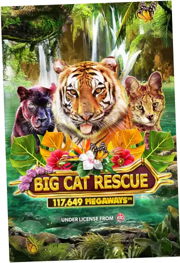 Play Big Cat Rescue Megaways Big Cat Rescue Megaways